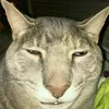 Mox1M avatar