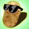 bonk. sp. avatar