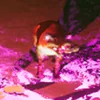 iADamS avatar