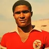 SerWar avatar