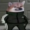 Kto takoy? avatar