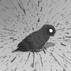 ZeroYT avatar