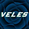 VEles avatar