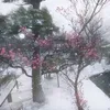 私は誰ですか？ avatar