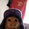 sneakson avatar