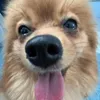 nikkiz avatar
