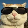 v1k0s avatar
