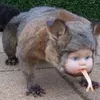 KidComptonG avatar
