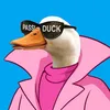 passi_duck avatar