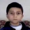SHIB COIN avatar