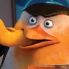 Алкошлакоблокунь avatar