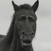 KoKo avatar