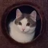 Jepu ジェプ avatar
