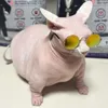 bingus avatar