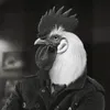 pazaki avatar