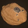 Cabybara Rock avatar