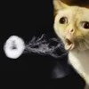 Siky avatar
