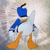 Donal duc avatar