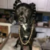 SnoopyyKalb avatar