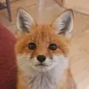 Randyrandx avatar