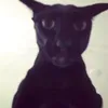 r0metzz avatar