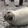 Ulitka na Sklone avatar