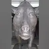 3per avatar