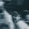 D10⚡ avatar