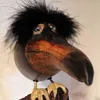 Scebob avatar
