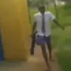 o beringela avatar