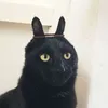 Багет avatar