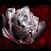 Rix avatar