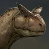 impolite avatar