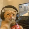 motinha avatar