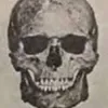 Waggie avatar
