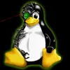 bashware.vip avatar