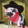 mickazzu avatar