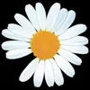 ClawHope avatar