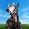 Aaro avatar