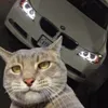 Gatovski avatar