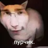 прч лх облся блох avatar