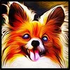 Terelidaman avatar