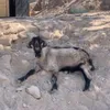Роман билайн avatar