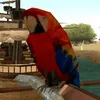 PIROKOKO✅ avatar