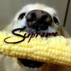 supreme avatar