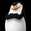 Свиная попутка avatar