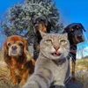 Kuhfive avatar