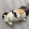 ШМЕЛЬ avatar