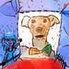 minininjas2000 avatar