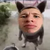 ДАУБИ avatar